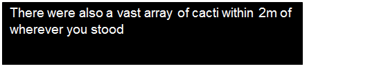 Text Box: There were also a vast array of cacti within 2m of wherever you stood